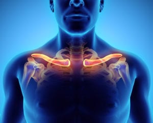 Broken Collarbone